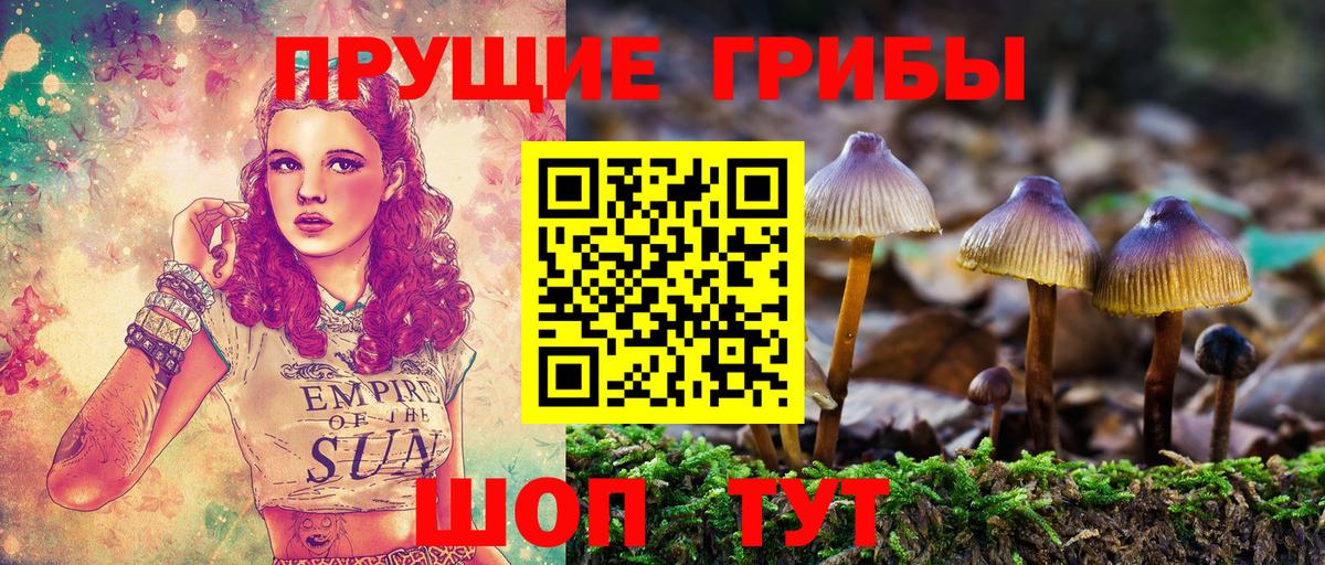 Соликамск  Галлюциногенные грибы Magic Shrooms  Вход с VPN 